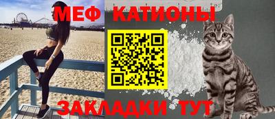 стафф Кингисепп