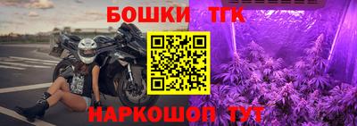 прущие крисы Кандалакша