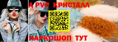 стафф Кингисепп