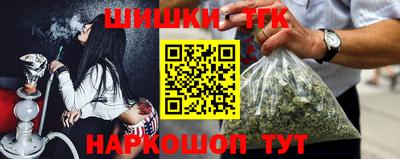 шишки Камышлов