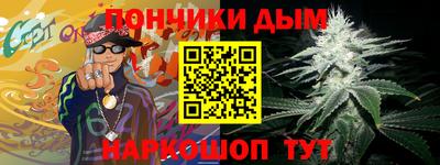стафф Кингисепп