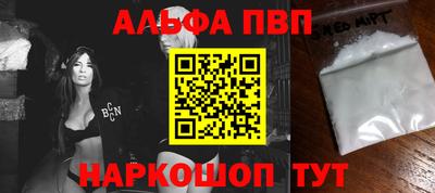 стафф Кингисепп