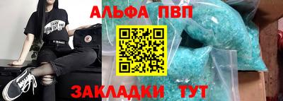 стафф Кингисепп