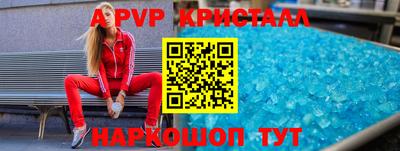 стафф Кингисепп