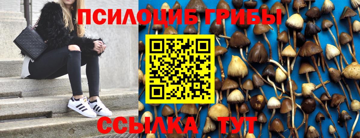 Галлюциногенные грибы MAGIC MUSHROOMS Балтийск